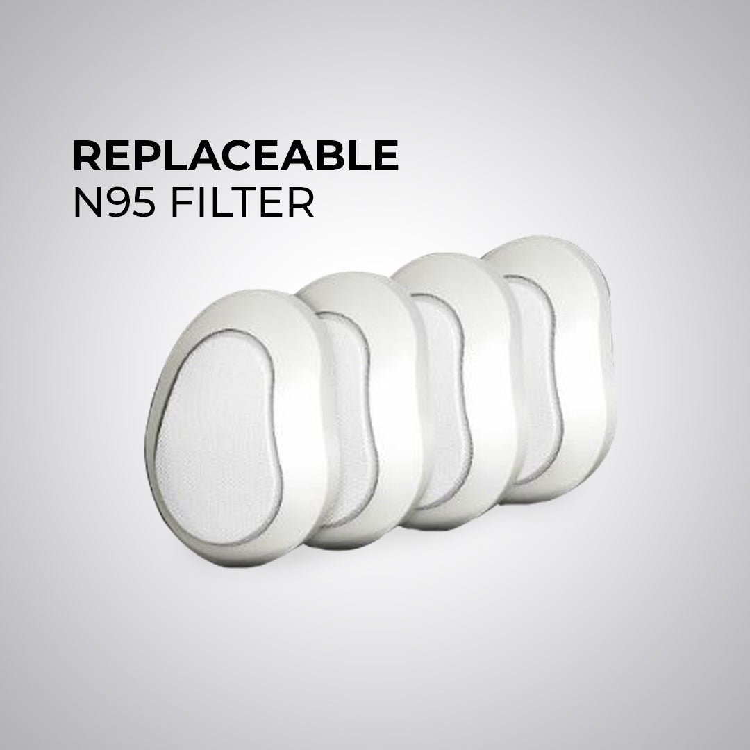 Bouvier Replaceable N95 Mask (6pcs per pack)