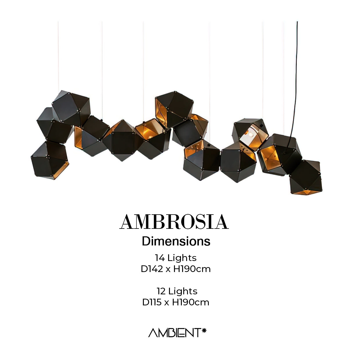 Ambrosia