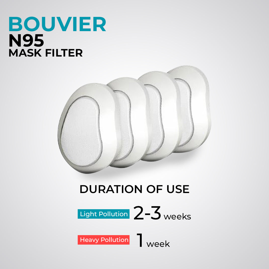 Bouvier Replaceable N95 Mask (6pcs per pack)