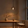 Akie spherical glass pendant light suspended above a wooden dining table in a modern interior