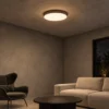 Carrie circular ceiling light displayed in a contemporary seating area
